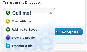 Skype WordPress Plugin